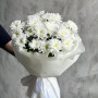 5 белых кустовых хризантем